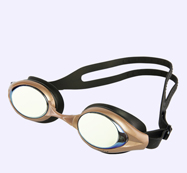 LW1100